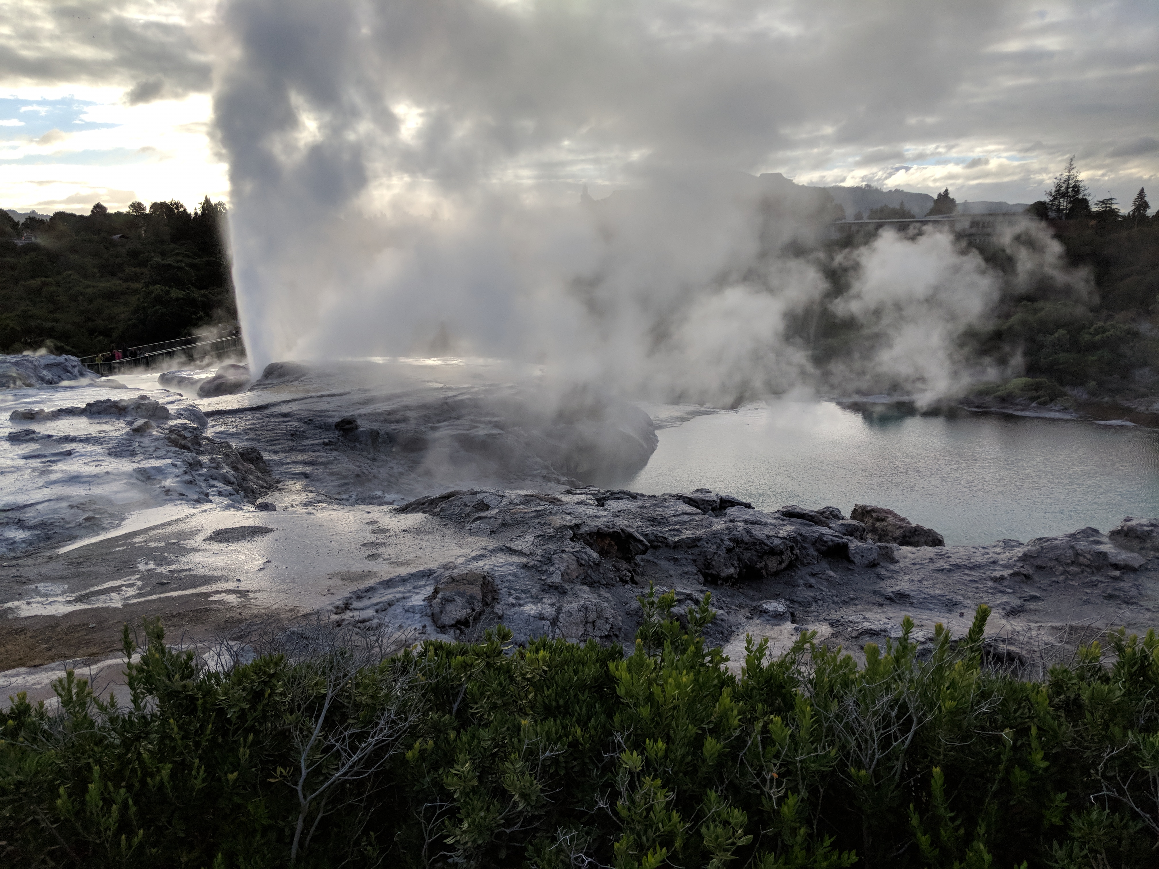 Image of Rotorua, Bay of Plenty, New Zealand